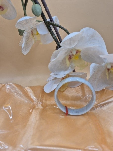 #080 - Dynasty Loop Jadeite Bangle