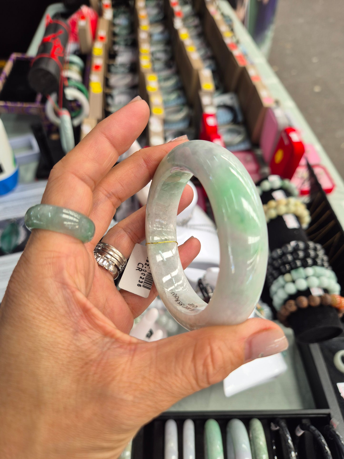 Spring Garden Jadeite Bangle 55mm